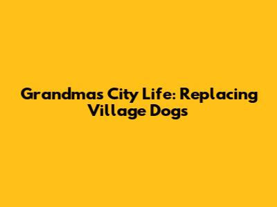 Grandma's City Life: Replacing Village Dogs
