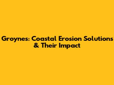 Groynes: Coastal Erosion Solutions & Their Impact
