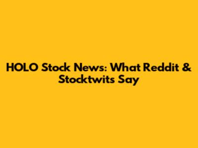 HOLO Stock News: What Reddit & Stocktwits Say