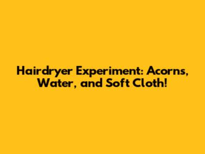 Hairdryer Experiment: Acorns, Water, and Soft Cloth!
