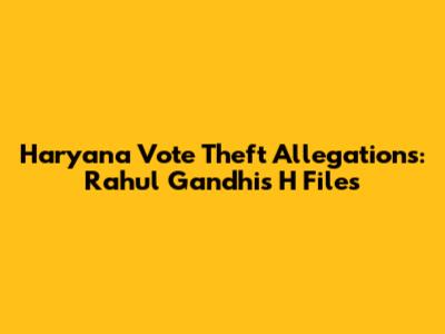 Haryana Vote Theft Allegations: Rahul Gandhi's 'H Files'