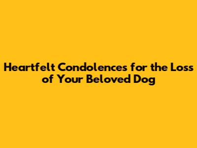 Heartfelt Condolences for the Loss of Your Beloved Dog