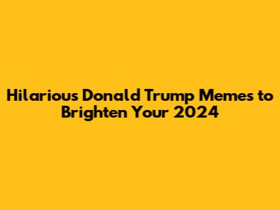 Hilarious Donald Trump Memes to Brighten Your 2024
