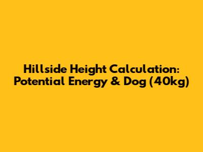 Hillside Height Calculation: Potential Energy & Dog (40kg)