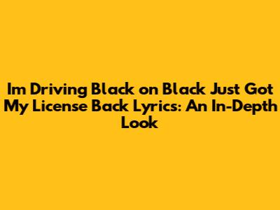 I'm Driving Black on Black Just Got My License Back Lyrics: An In-Depth Look