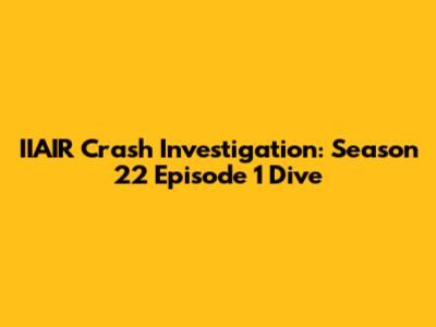 IIAIR Crash Investigation: Season 22 Episode 1 Dive