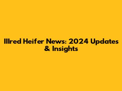 IIIred Heifer News: 2024 Updates & Insights