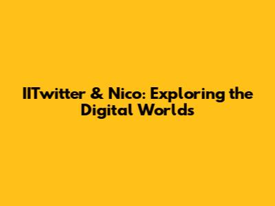 IITwitter & Nico: Exploring the Digital Worlds