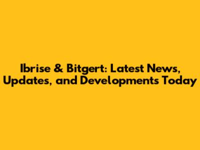 Ibrise & Bitgert: Latest News, Updates, and Developments Today