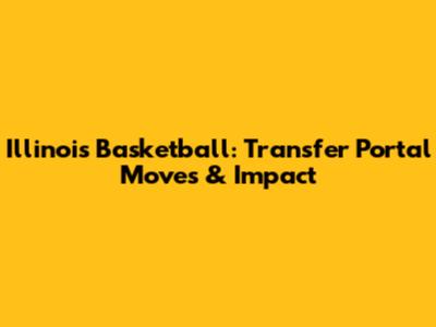 Illinois Basketball: Transfer Portal Moves & Impact