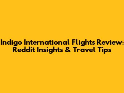 Indigo International Flights Review: Reddit Insights & Travel Tips