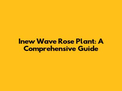 Inew Wave Rose Plant: A Comprehensive Guide