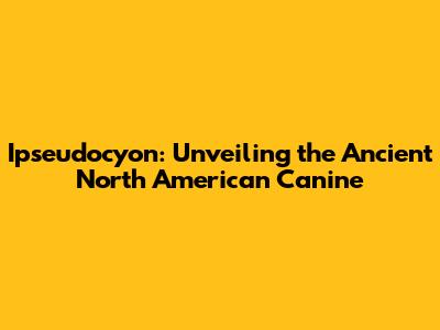 Ipseudocyon: Unveiling the Ancient North American Canine