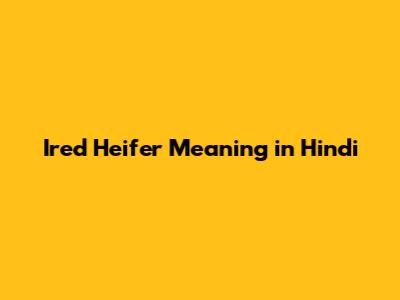 Ired Heifer Meaning in Hindi