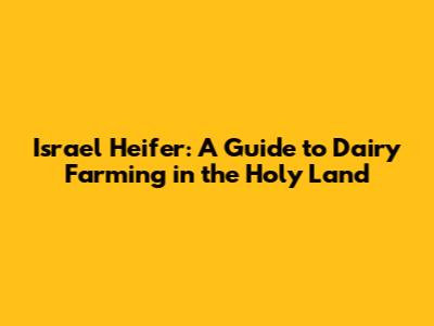 Israel Heifer: A Guide to Dairy Farming in the Holy Land