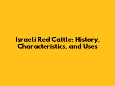 Israeli Red Cattle: History, Characteristics, and Uses