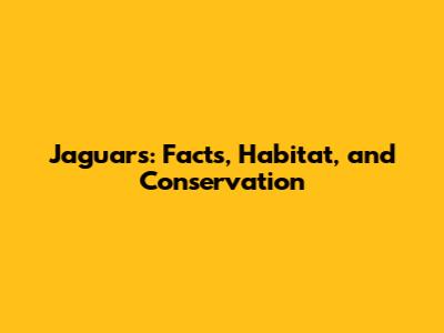 Jaguars: Facts, Habitat, and Conservation
