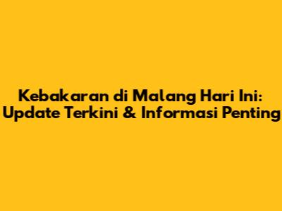 Kebakaran di Malang Hari Ini: Update Terkini & Informasi Penting