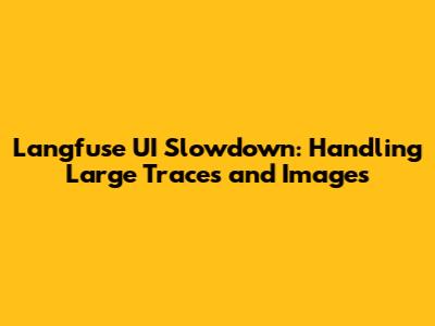 Langfuse UI Slowdown: Handling Large Traces and Images