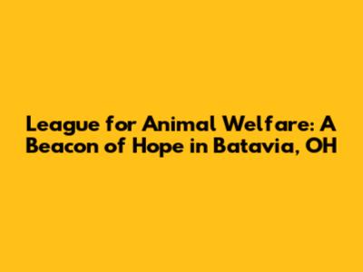 League for Animal Welfare: A Beacon of Hope in Batavia, OH