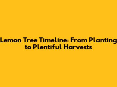 Lemon Tree Timeline: From Planting to Plentiful Harvests