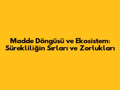Madde Döngüsü ve Ekosistem: Sürekliliğin Sırları ve Zorlukları