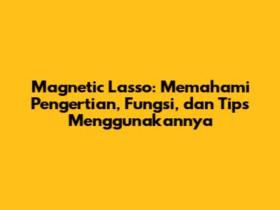 Magnetic Lasso: Memahami Pengertian, Fungsi, dan Tips Menggunakannya