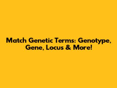Match Genetic Terms: Genotype, Gene, Locus & More!