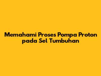 Memahami Proses Pompa Proton pada Sel Tumbuhan