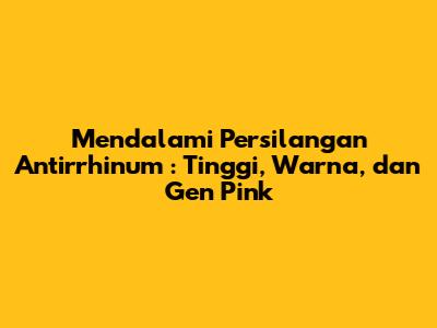 Mendalami Persilangan *Antirrhinum*: Tinggi, Warna, dan Gen Pink