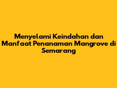 Menyelami Keindahan dan Manfaat Penanaman Mangrove di Semarang