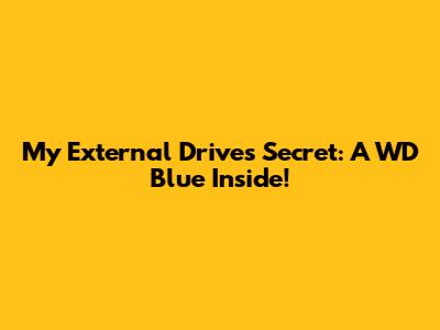 My External Drive's Secret: A WD Blue Inside!