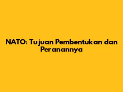NATO: Tujuan Pembentukan dan Peranannya