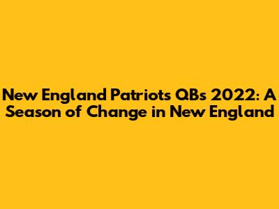 New England Patriots QBs 2022: A Season of Change in New England