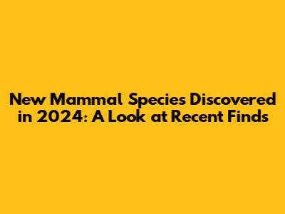 New Mammal Species Discovered in 2024: A Look at Recent Finds