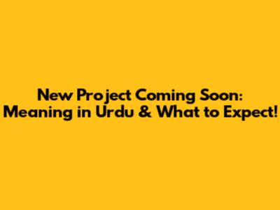New Project Coming Soon: Meaning in Urdu & What to Expect!