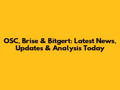 OSC, Brise & Bitgert: Latest News, Updates & Analysis Today