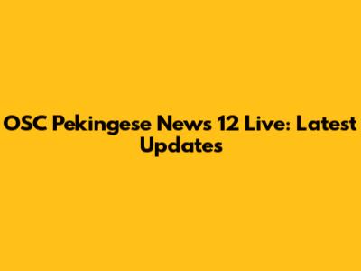 OSC Pekingese News 12 Live: Latest Updates