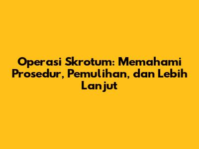 Operasi Skrotum: Memahami Prosedur, Pemulihan, dan Lebih Lanjut