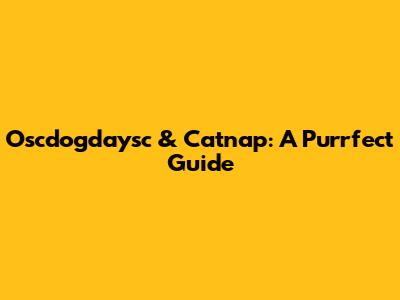 Oscdogdaysc & Catnap: A Purrfect Guide