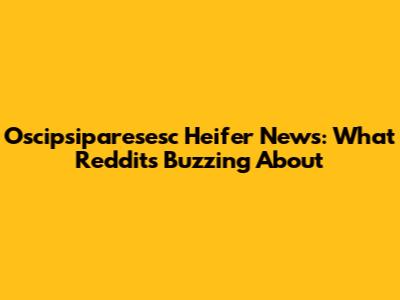 Oscipsiparesesc Heifer News: What Reddit's Buzzing About