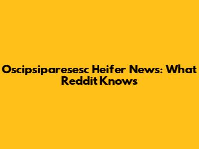Oscipsiparesesc Heifer News: What Reddit Knows
