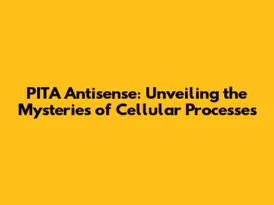 PITA Antisense: Unveiling the Mysteries of Cellular Processes