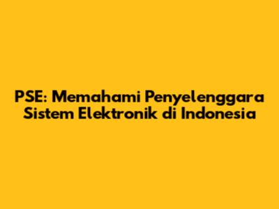 PSE: Memahami Penyelenggara Sistem Elektronik di Indonesia