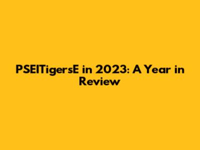 PSEITigersE in 2023: A Year in Review