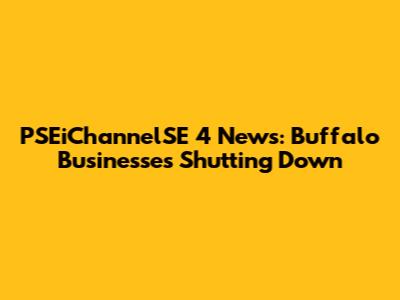 PSEiChannelSE 4 News: Buffalo Businesses Shutting Down