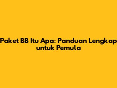 Paket BB Itu Apa: Panduan Lengkap untuk Pemula