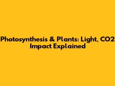 Photosynthesis & Plants: Light, CO2 Impact Explained