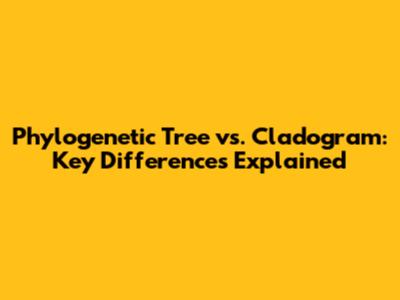 Phylogenetic Tree vs. Cladogram: Key Differences Explained