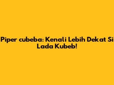 Piper cubeba: Kenali Lebih Dekat Si Lada Kubeb!